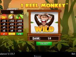 1 Reel Monkey Slots